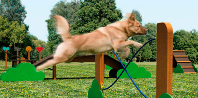 Parque para Mascotas/Parque de Juego y Entrenamiento para Cachorros y pequeños Animales Leopet Color a Elegir 